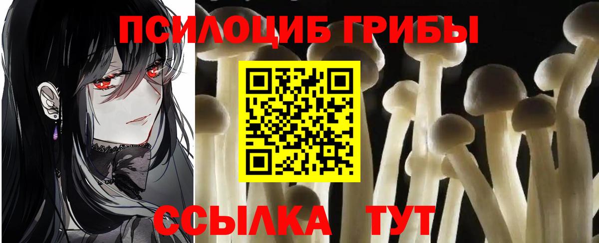 наркота  Псилоцибиновые грибы Psilocybe  Вход с VPN  Тихорецк 